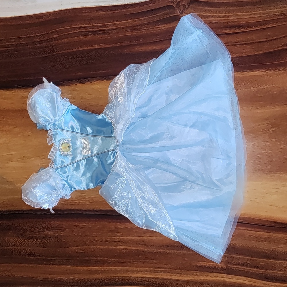 Disney Princess Cinderella Costume